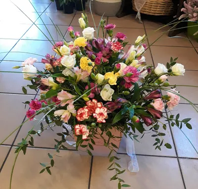 Kwiaciarnia Fiołki Aniołki